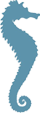 Seahorse Icon